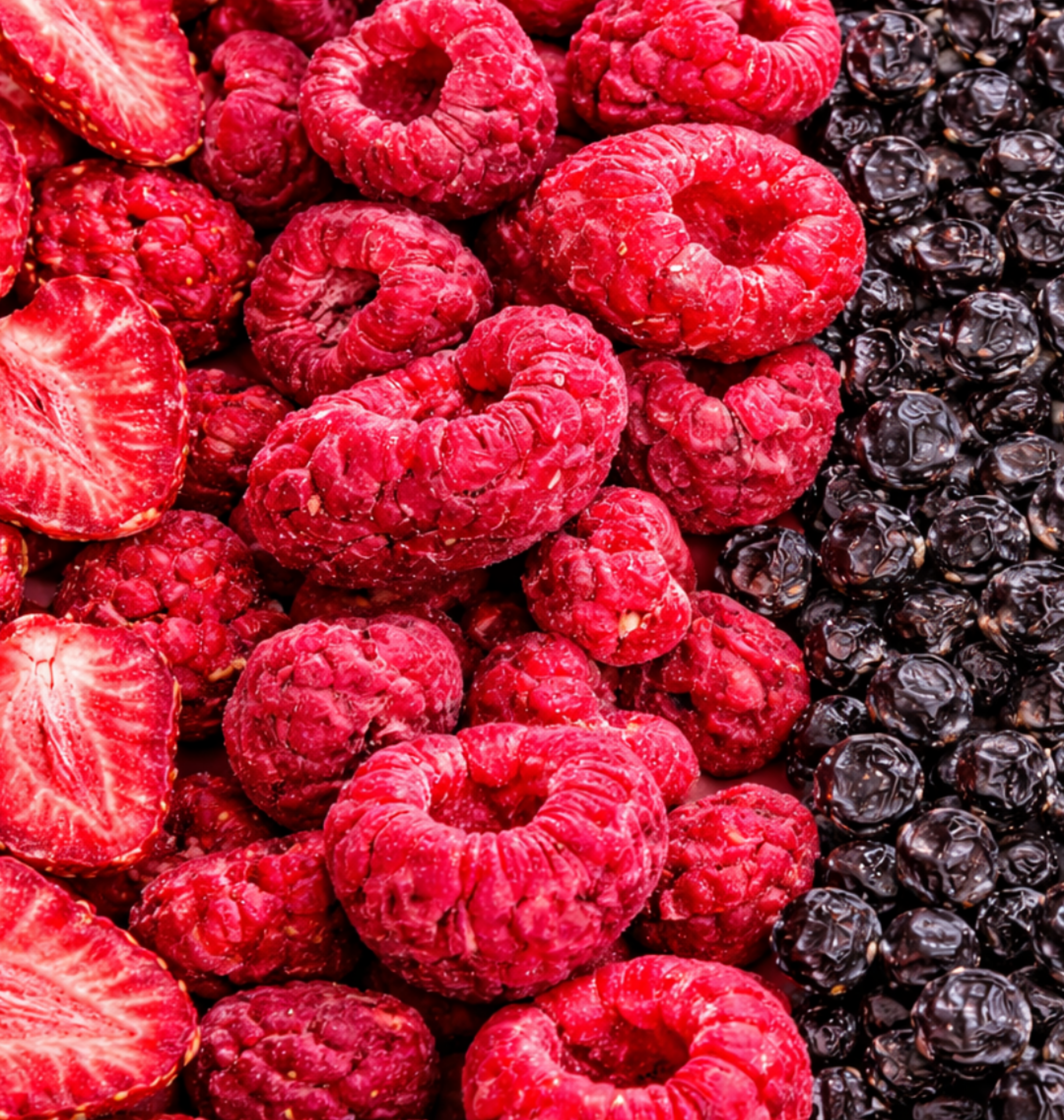Fraise – Framboise – Myrtille